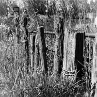 fence