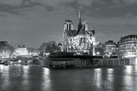 Notre Dame by night, Paris by Markus Lange thumbnail