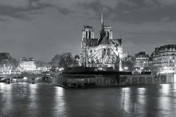 Notre Dame bij nacht, Parijs van Markus Lange