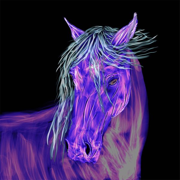Paard by Monique Schilder