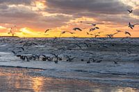 Sunset in Scheveningen