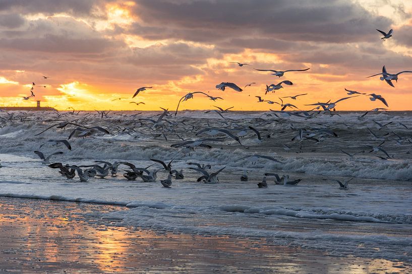 Coucher de soleil à Scheveningen par Marian Sintemaartensdijk
