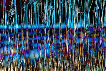 Abstract reeds 2