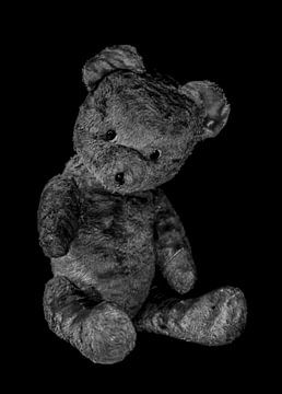 Cuddly bear by Ans Bastiaanssen