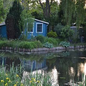 falko visser Profile picture