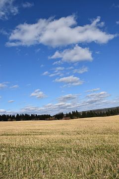 Ein Feld nach der Herbsternte von Claude Laprise