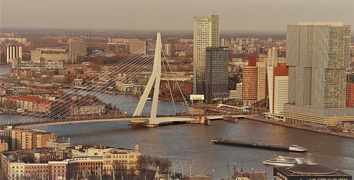 Erasmus Bridge Rotterdam