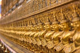 The ancient bird warriors by Yevgen Belich