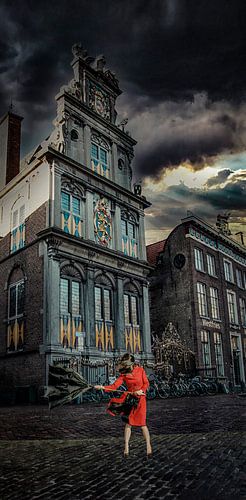 Art de rode steen in Hoorn Noordholland.