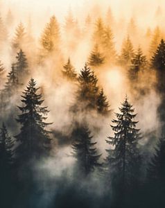 Mystischer Sonnenaufgang im Herbstwald