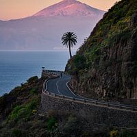 Tenerife