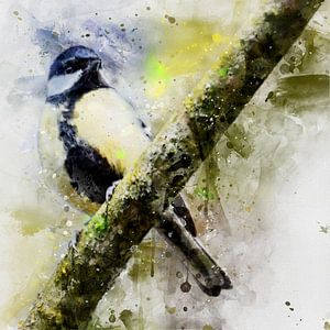 Mésange charbonnière sur une branche (aquarelle)