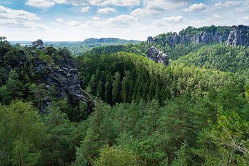 Grüner Wald und Ausblick in Richtung Bastei