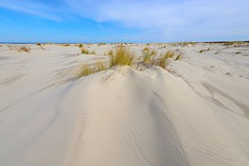 Zandduinen op het strand van Schiermonnikoog