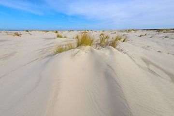 Kleine Dünen am Strand während eines schönen Frühlingstages von Sjoerd van der Wal Fotografie