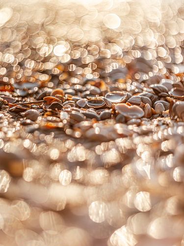 Strand Noordwijk. Bokeh Feestje