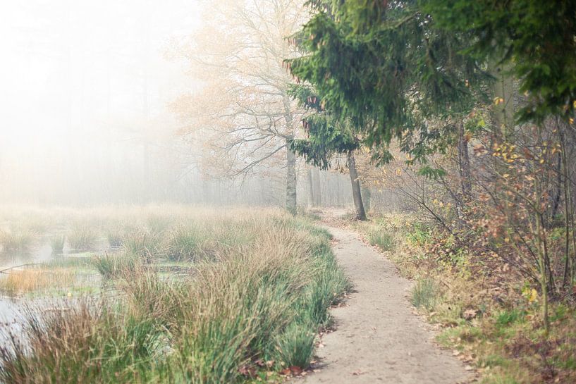 Morgenspaziergang von Leonie Wagenaar