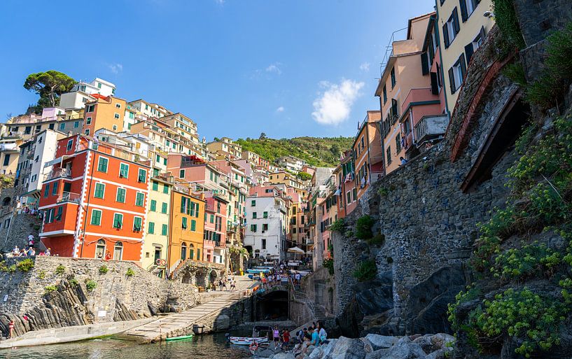 Cinque Terre Manarola von Jeffrey van Roon
