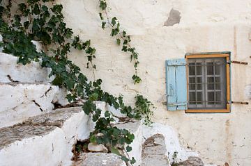 old window with ivy by gj heinhuis