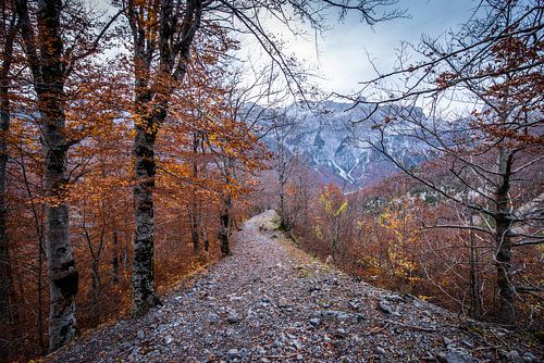 Autumn walk through the mountains