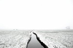 Winters landelijk landschap tijdens een koude winterochtend van Sjoerd van der Wal Fotografie