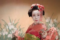 Geisha of Japanse Maiko in traditionele kimono
