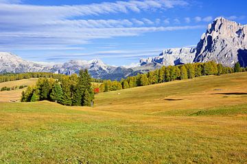 Herfst op de Seiser Alm (Alpe di Siusi)