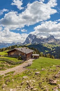 Almhütten auf der Seiser Alm, Südtirol