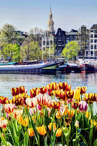 Tulpen op Oosterdokskade richting Montelbaanstoren