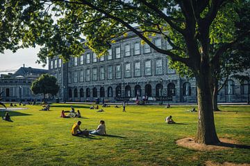 Park of Trinity College, Dublin by Martin Diebel