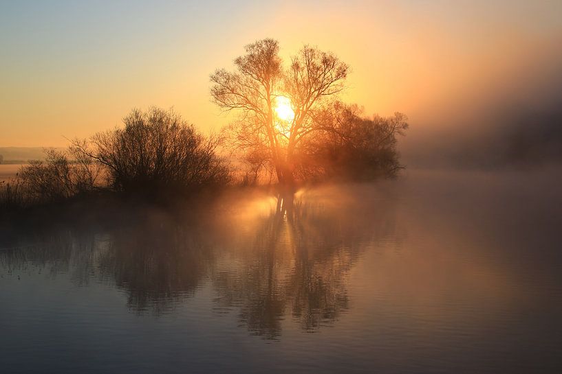 Sonne gegen Nebel van Bernhard Kaiser