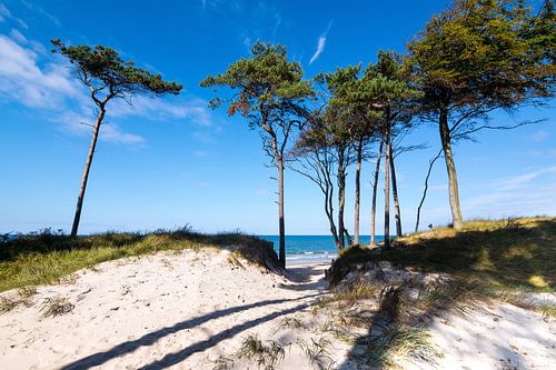 Mer Baltique - Plage ouest sur le Darß