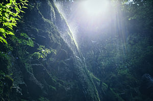 Kleiner Wasserfall an einer moosbehangenen Felswand im Gegenlicht