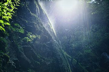 Kleine waterval op een met mos bedekte rotswand tegen het licht van Dieter Stahl