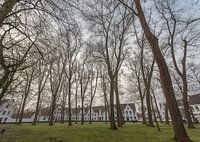 Béguinage de Bruges