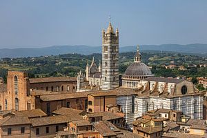 Der Dom von Siena in Italien vom Torre de Mangia aus gesehen (Landschaft)