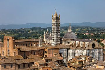 De Dom van Siena in Italië gezien vanaf de Torre de Mangia (landscape) van André Blom Fotografie Utrecht