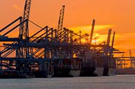 5 in a row during the Maasvlakte sunset in Rotterdam by Anton de Zeeuw thumbnail