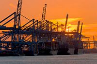 5 in einer Reihe bei Sonnenuntergang Maasvlakte in Rotterdam