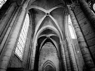 Frankrijk Chartres gewelf van Albert Hartwig
