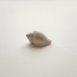 Tonal Seashell Silhouette in Greige by maulana risyad