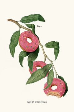 Donut Plant van Jonas Loose
