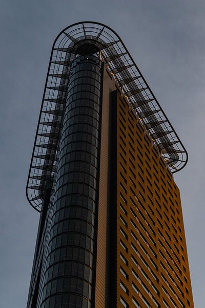 Das Eisen von Fabio Holkema