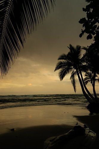 Zonsopkomst met palmbomen in Puerto Viejo – Caribische sereniteit