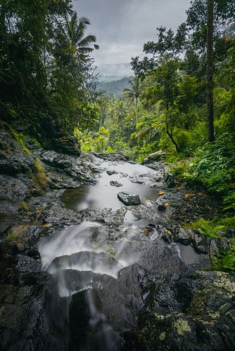 Waterval met een prachtig uitzicht van Perry Wiertz