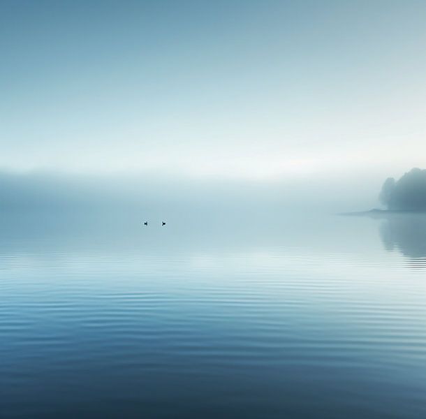 Ästhetischer Minimalismus von fernlichtsicht