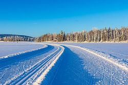 Landschap in de winter met langlaufloipe en bos in Äkäslompolo, Finland