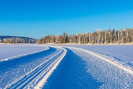 Landschap in de winter met langlaufloipe en bos in Äkäslompolo, Finland