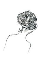 Cabbage head