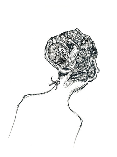 Cabbage head